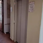 Hostel Menorca Ciutadella (Menorca)